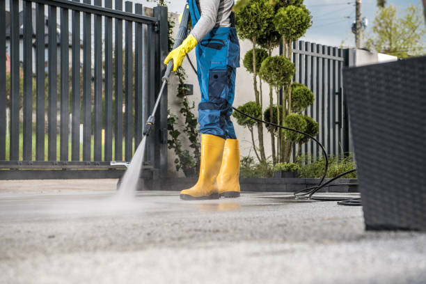 Best Local Pressure Washing Services  in Kings Park, VA